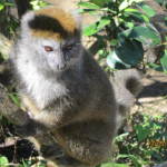 IMG_3227 - Copy